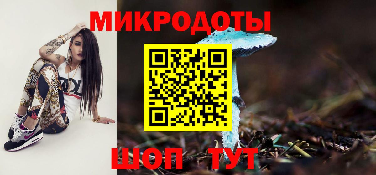 Псилоцибиновые грибы Cubensis Петропавловск-Камчатский